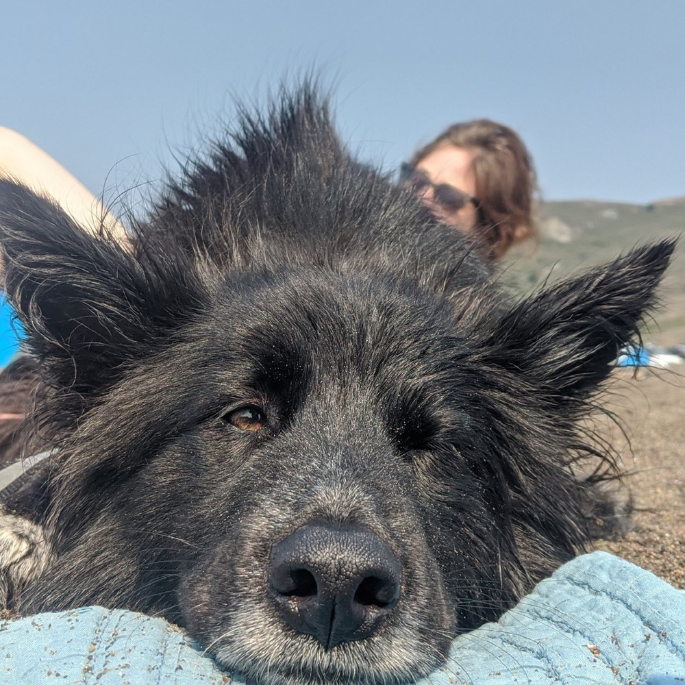 Meet your Posher, Chloe